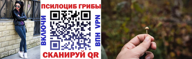 Галлюциногенные грибы Psilocybine cubensis  Грязовец 